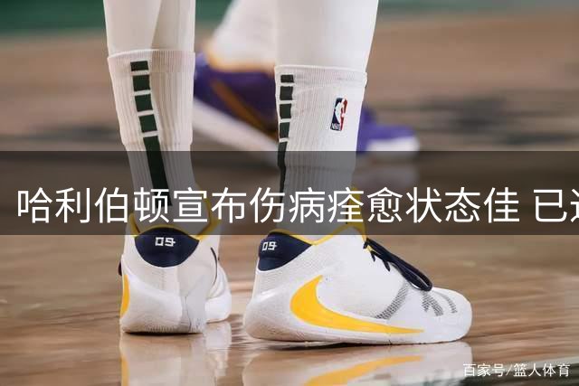 哈利伯顿宣布伤病痊愈状态佳 已通过野球训练恢复竞技水平
